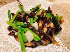 鸡枞菌炒芦笋-人间采蜜(海信广场店)