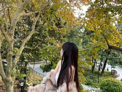 -Ginger(兴国路店)