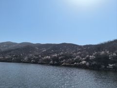 -香山公园