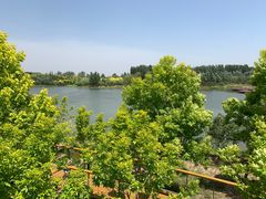 -东郊湿地公园