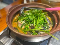 -九道菜有鸡鱼头(石鼓路店)