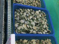 -宝燕海鲜(好爱店)