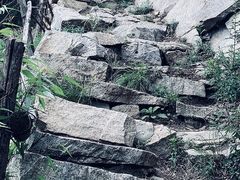 -终南山国家森林公园