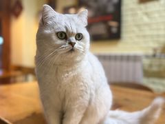 -雕刻时光·咖啡·酒吧·西餐(香山店)