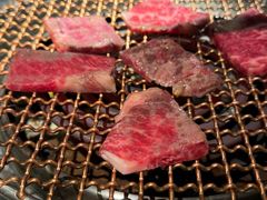 -九田家黑牛烤肉料理(新辰里亚运村店)