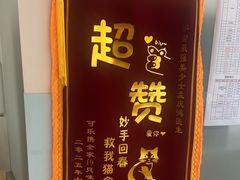 -瑞派申生动物医院·24H夜诊·国际动物医疗中心·骨外科(吴中路店)