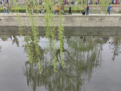 -海棠花溪(元大都城垣遗址公园)