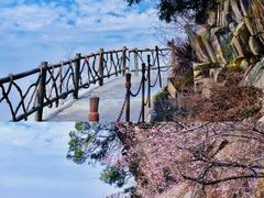 -少华山国家森林公园