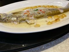 豆渣饼大白鱼-听松楼·花园酒店·自助餐厅(红梅公园店)