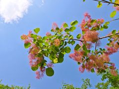 -周口店坡峰岭风景区