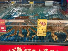 -鸿港海鲜批发市场