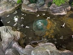 -杭州长乔极地海洋公园