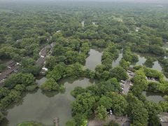 -西溪国家湿地公园