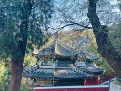 -香山公园