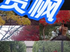 -秋霞圃