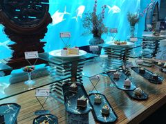 -瑞德姆美人鱼海底演艺主题餐厅(亚龙湾店)