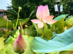 -国家植物园南园