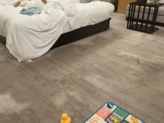 -河源万绿湖美思威尔顿酒店