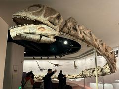 -自贡恐龙博物馆