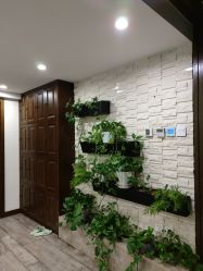 -青青一生美皮肤管理