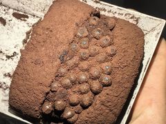 -好利来(桂林路店)