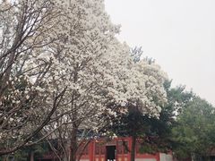 -大钟寺古钟博物馆
