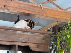 -BUND·FIVE外滩5号(天际店)