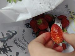 -刘全生鲜(南六中路店)