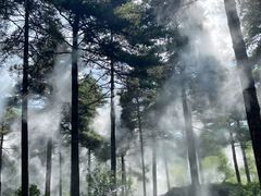 -洛阳白云山景区