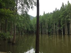 -波尔登森林公园