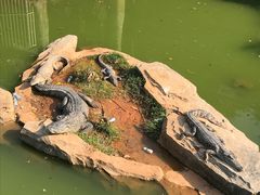 -南昌动物园
