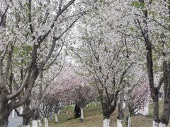 -梦之蓝青奥体育公园体育馆