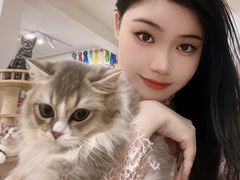 -有喵·猫咖·狗咖·30几只猫10只小狗(岗厦店)