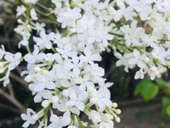 -中国农业博物馆