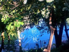 -黄村公园