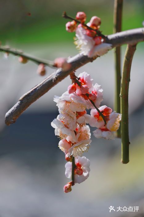 静安雕塑公园图片