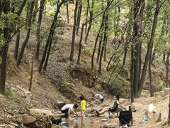 景点-九真山风景区