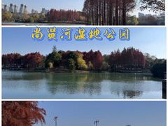 -尚贤河湿地