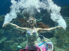 -海合安武汉极地海洋公园