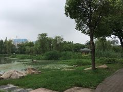 -高子水居