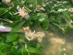 -生态苑农庄(十里画廊遇龙河店)