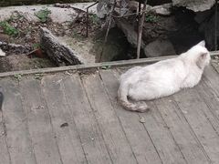 -高尔山公园