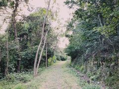 -南京市无想山景区