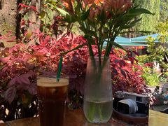 -蓝壁虎咖啡酒馆