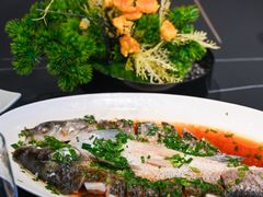 -全聚德(蓝山店)