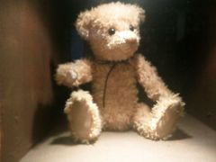 android_upload_pic-济州岛泰迪熊博物馆