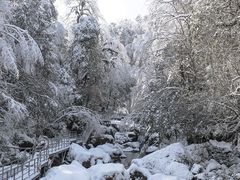 -龙苍沟森林公园