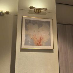 -娇莉芙美颜SPA连锁
