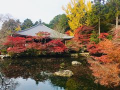 -醍醐寺