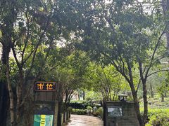 -野蔓果·山野菜(西湖景区·龙井茶田店)